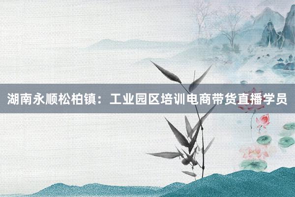 湖南永顺松柏镇：工业园区培训电商带货直播学员