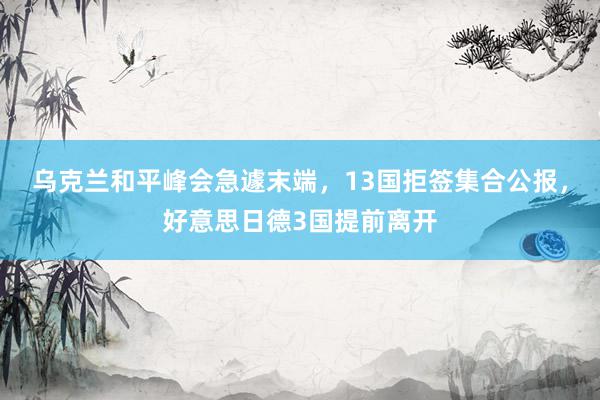 乌克兰和平峰会急遽末端，13国拒签集合公报，好意思日德3国提前离开