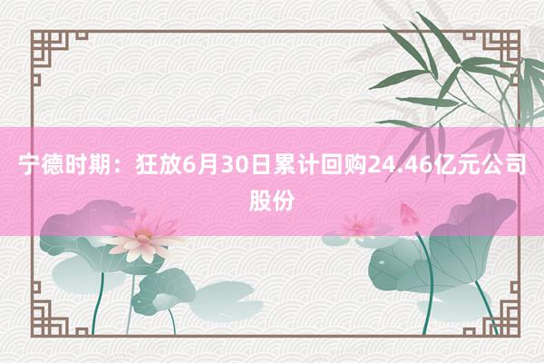 宁德时期：狂放6月30日累计回购24.46亿元公司股份