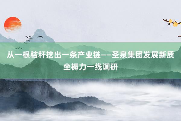 从一根秸秆挖出一条产业链——圣泉集团发展新质坐褥力一线调研