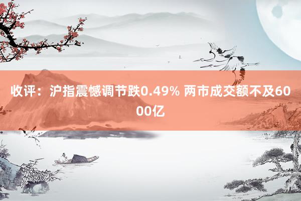 收评：沪指震憾调节跌0.49% 两市成交额不及6000亿