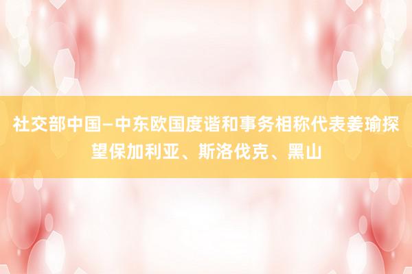 社交部中国—中东欧国度谐和事务相称代表姜瑜探望保加利亚、斯洛伐克、黑山