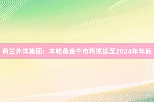 荷兰外洋集团：本轮黄金牛市将抓续至2024年年底