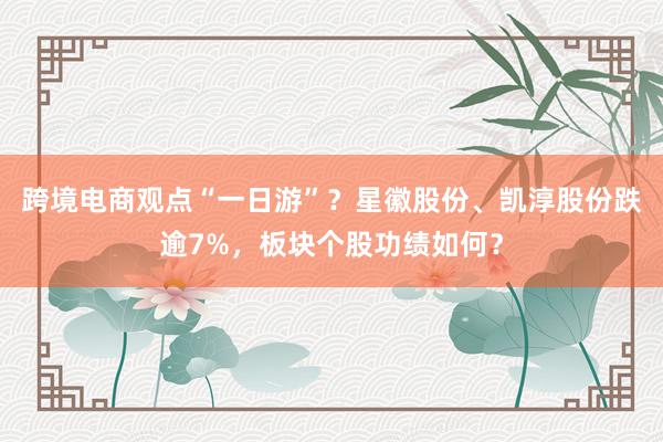 跨境电商观点“一日游”？星徽股份、凯淳股份跌逾7%，板块个股功绩如何？