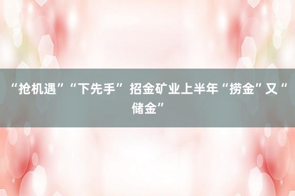 “抢机遇”“下先手” 招金矿业上半年“捞金”又“储金”