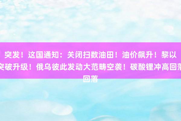 突发！这国通知：关闭扫数油田！油价飙升！黎以突破升级！俄乌彼此发动大范畴空袭！碳酸锂冲高回落