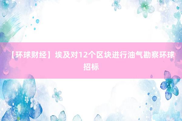 【环球财经】埃及对12个区块进行油气勘察环球招标