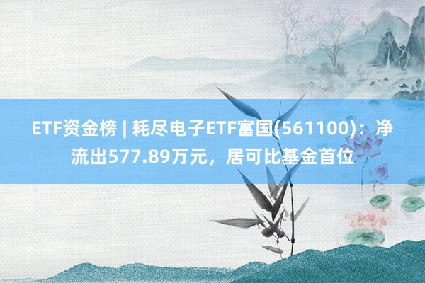 ETF资金榜 | 耗尽电子ETF富国(561100)：净流出577.89万元，居可比基金首位