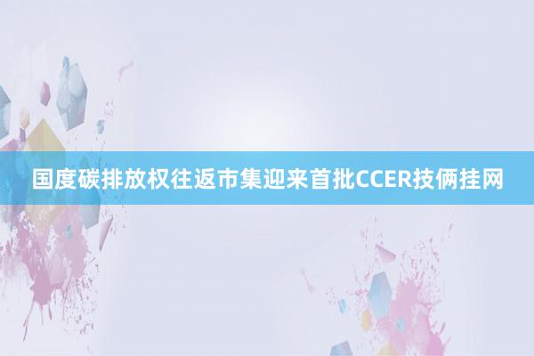 国度碳排放权往返市集迎来首批CCER技俩挂网