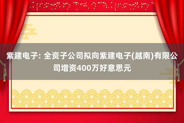 紫建电子: 全资子公司拟向紫建电子(越南)有限公司增资400万好意思元