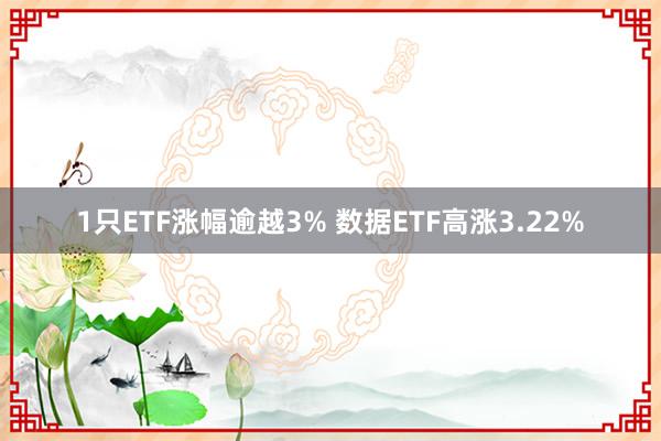 1只ETF涨幅逾越3% 数据ETF高涨3.22%