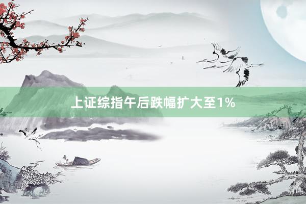 上证综指午后跌幅扩大至1%