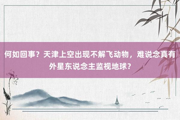 何如回事？天津上空出现不解飞动物，难说念真有外星东说念主监视地球？