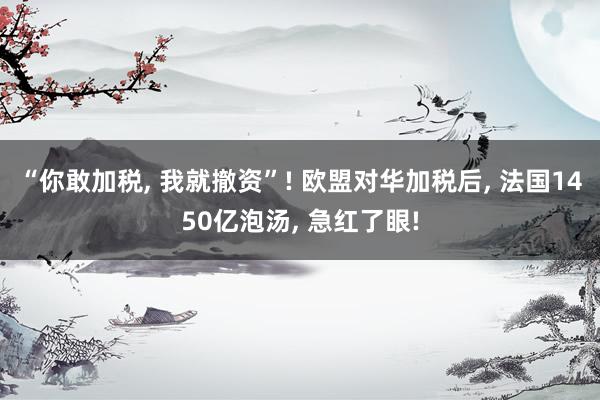 “你敢加税, 我就撤资”! 欧盟对华加税后, 法国1450亿泡汤, 急红了眼!