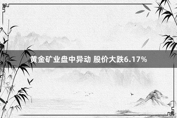 黄金矿业盘中异动 股价大跌6.17%